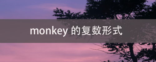 猴子英语复数