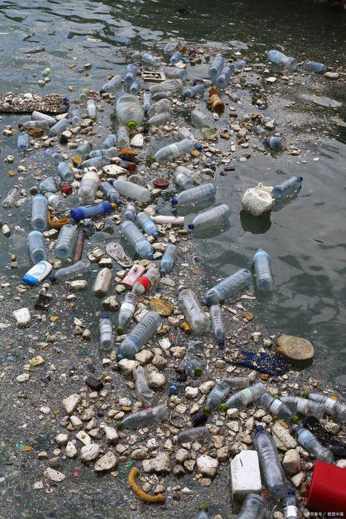 水环境污染的相关图片